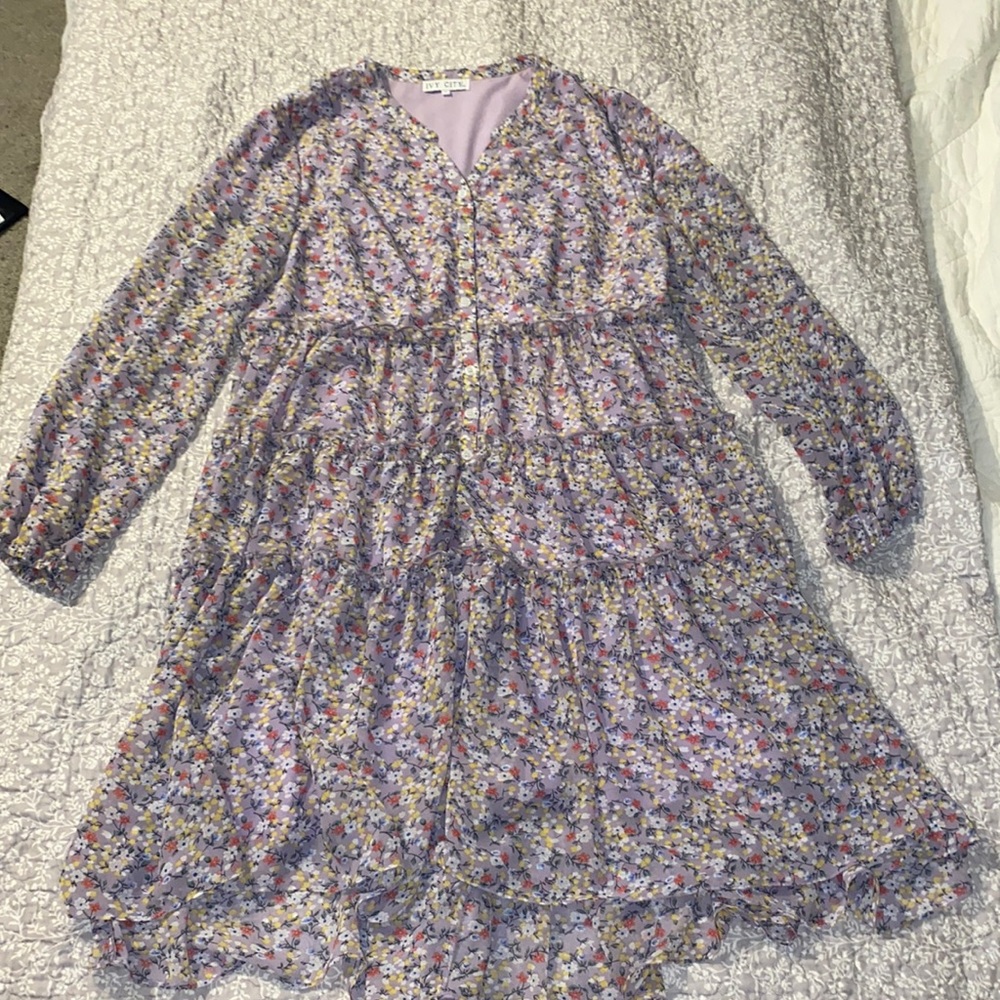Ivy City Co Lydia Dress